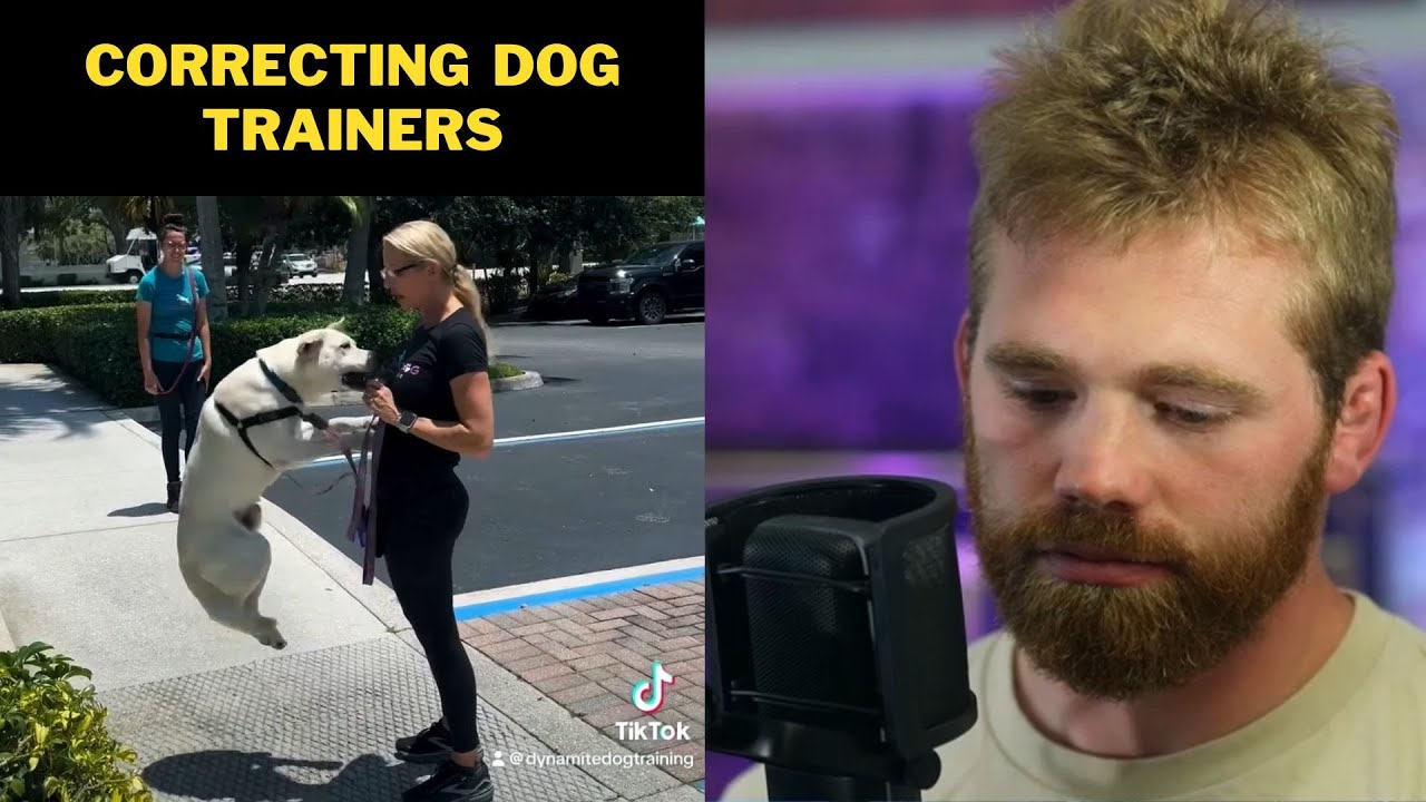 Correcting Dog Trainers I Exposing Unqualified Force Free Trainers
