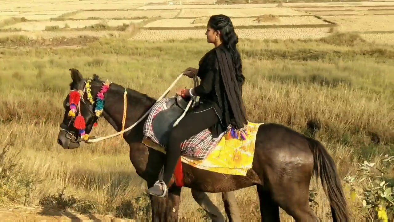 Women's Horse riding (part 2)