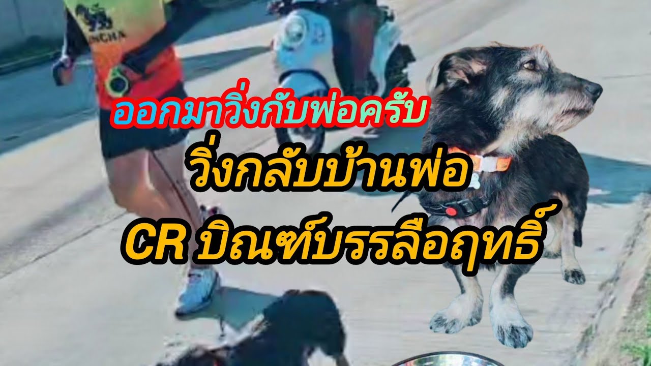 มาวิ่งกับน้องเปลี่ยนนายกันนะครับ‼️CR บิณฑ์บรรลือฤทธิ์@อาภรณ์พาเพลิน