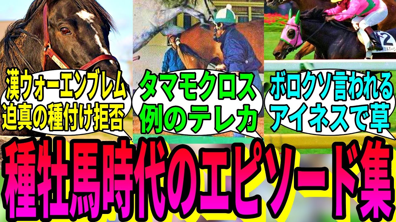 【競馬の反応集】「お馬さんの種牡馬としてのエピソード」に対する視聴者の反応集
