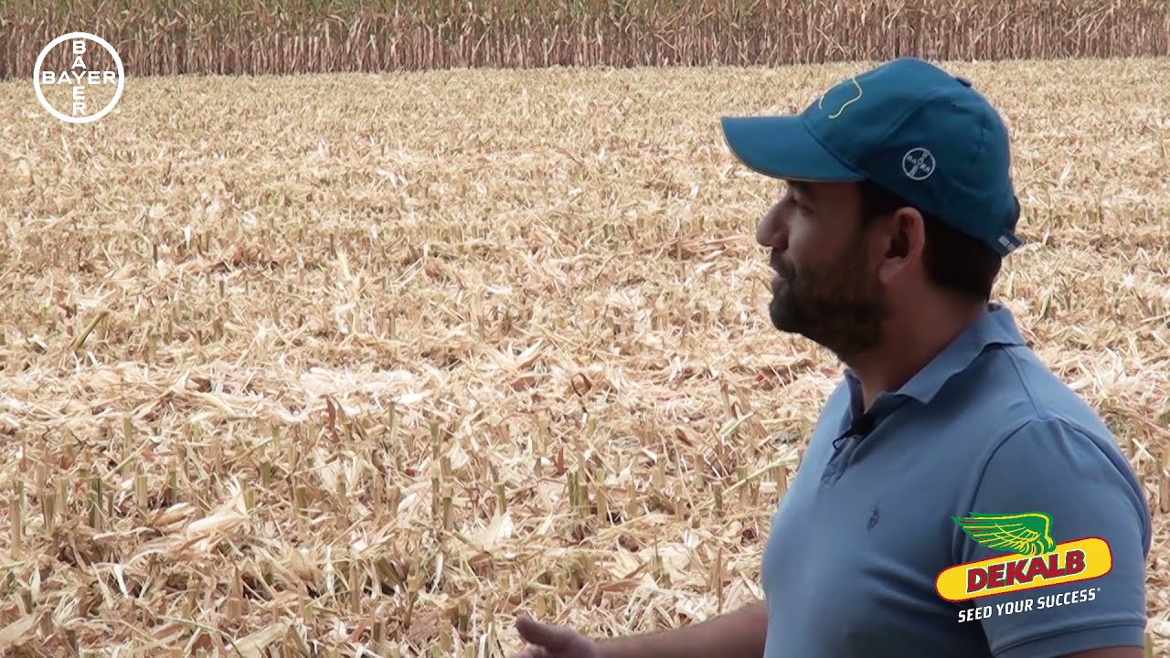 DEKALB Ailesi - 2020 Yılı