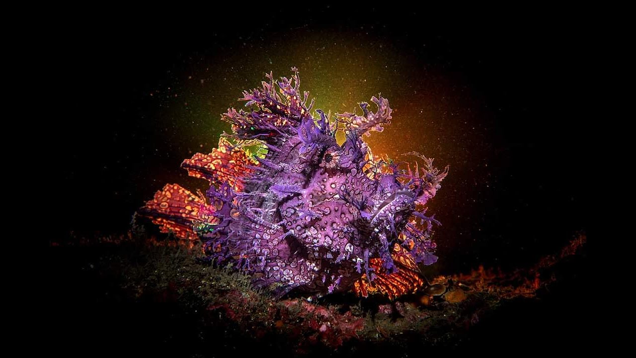 Experimental ambient Mix 18