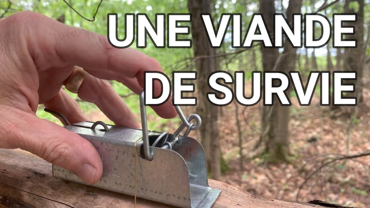 Une viande de survie