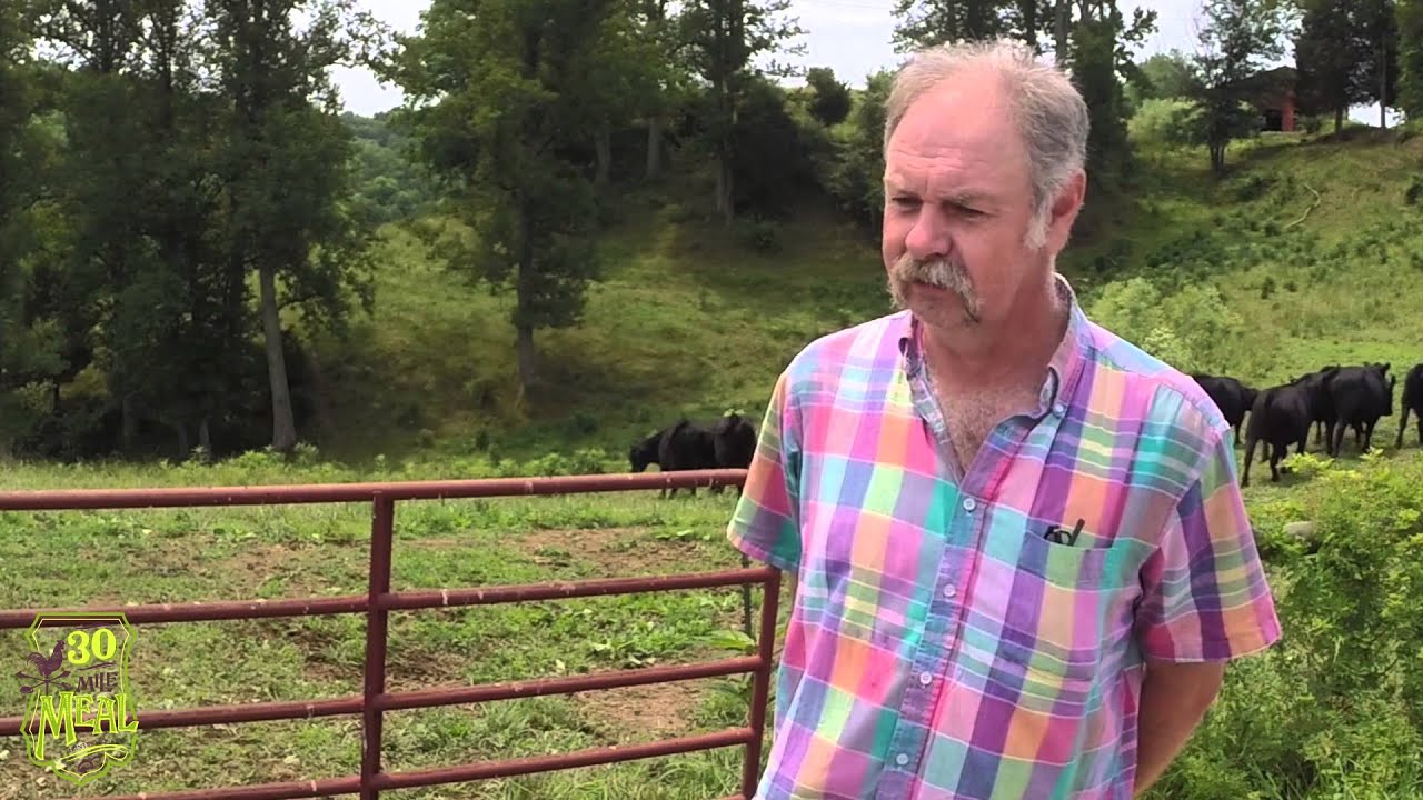 WV Hotdog: Meet your Meat