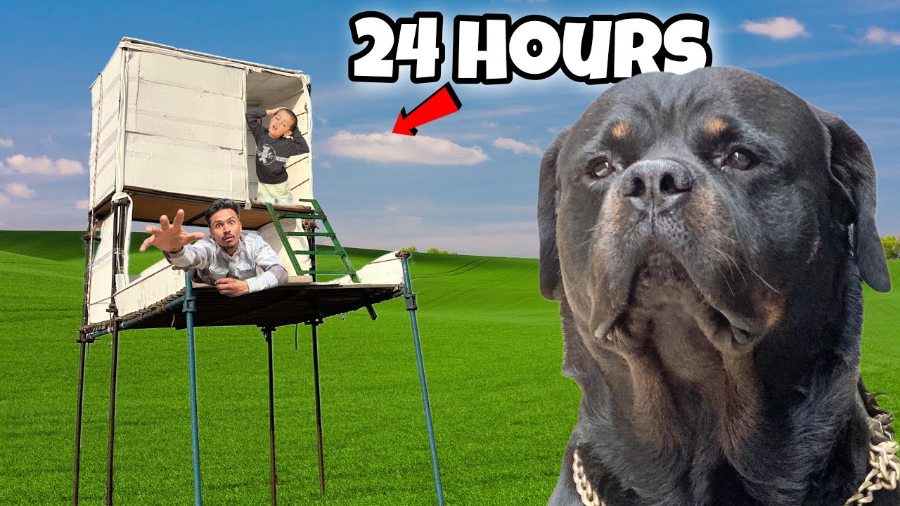 Surviving for 24 hours in highest thermacol house