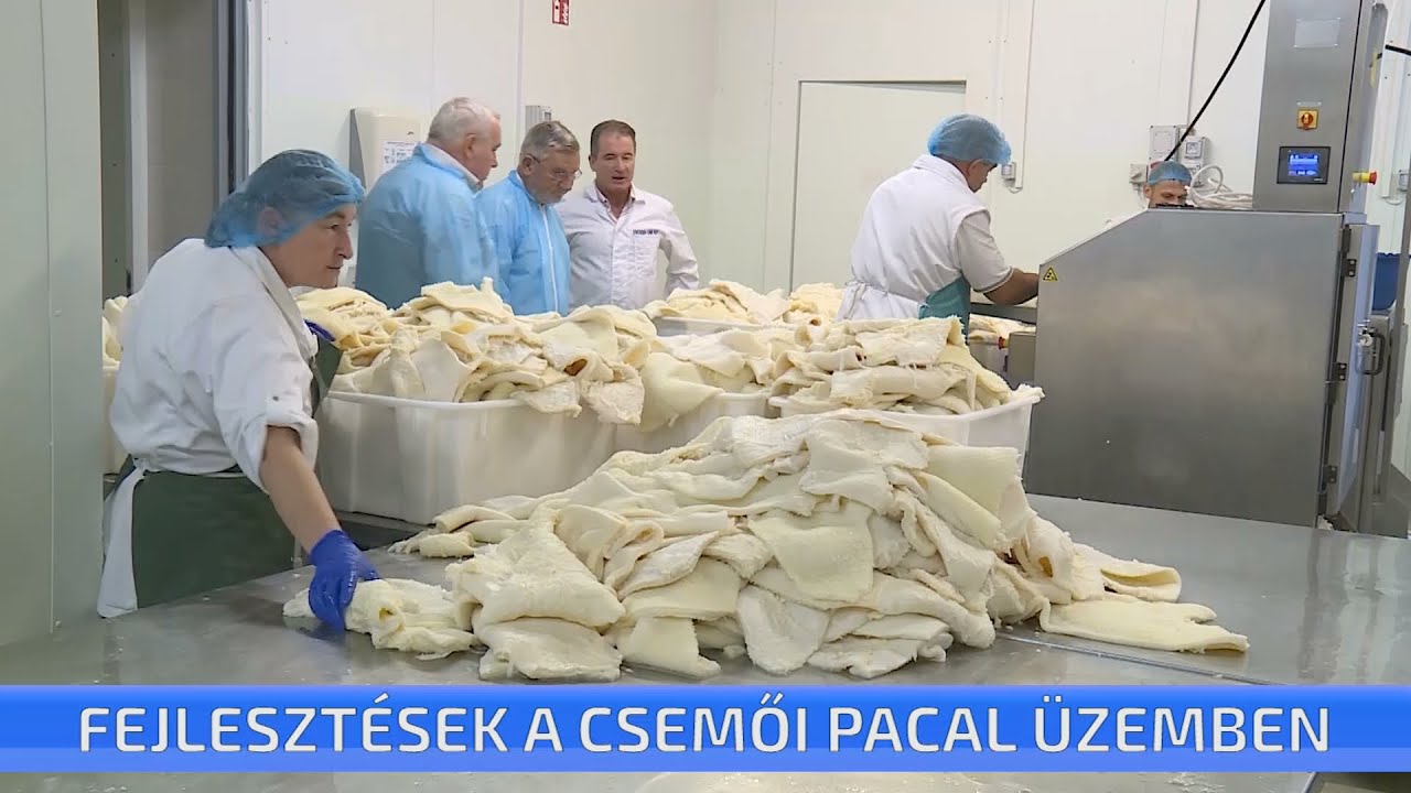 Fejlesztések a csemői Pacal Feldolgozó Üzemben