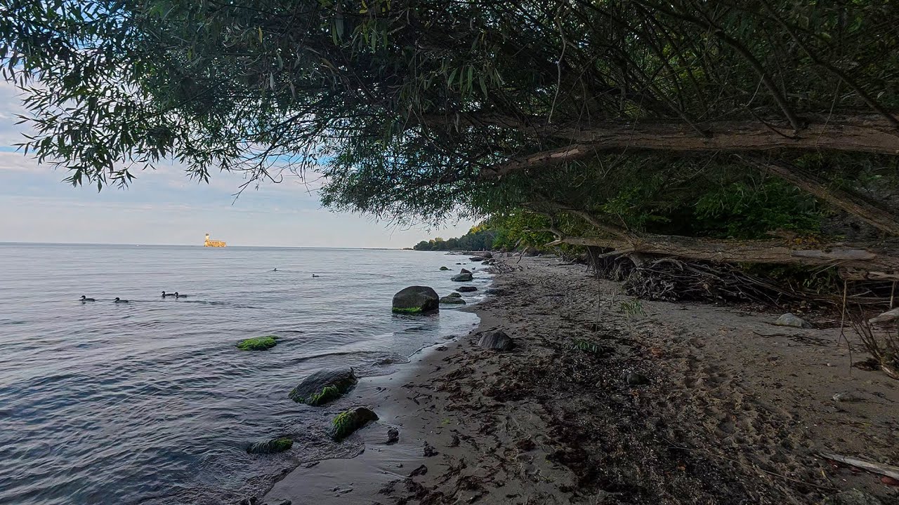 Z Rewy do Torpedowni Boso Brzegiem Zatoki hyperlapse 4K 8K BTC ETF DJI Osmo Action 6