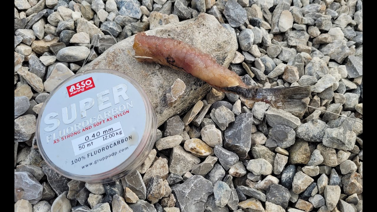 Ligurian Fishing Adventures - Alla ricerca del PESCE SERRA