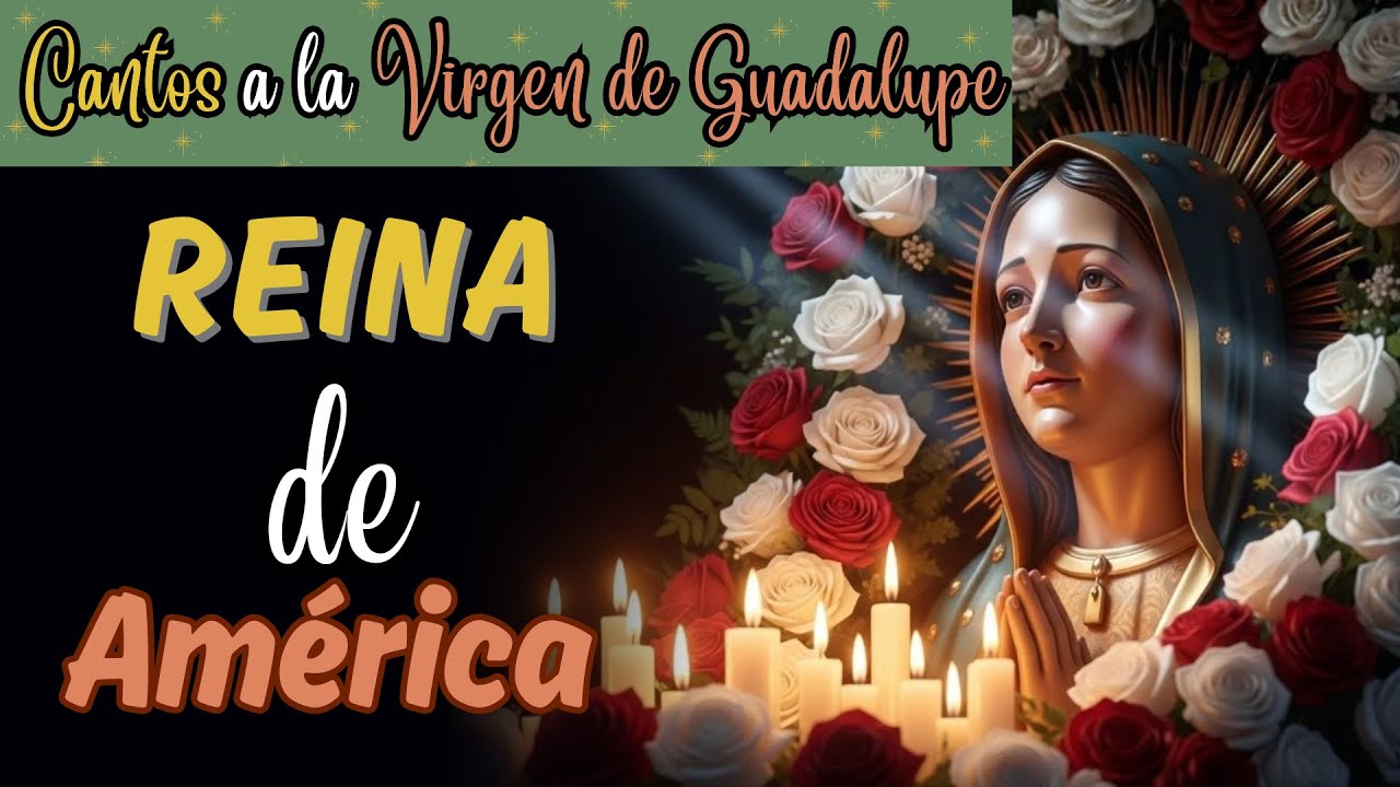 Reina de América