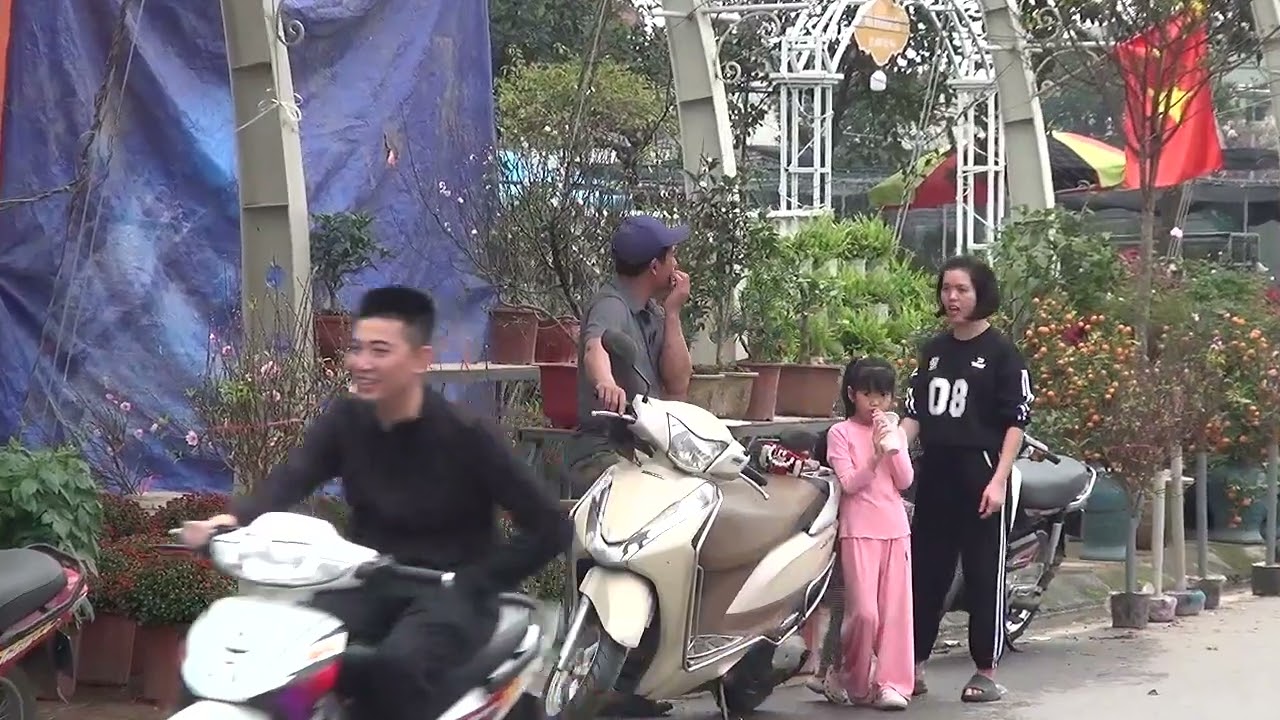 Chợ hoa tết tích giang chiều 27 tết 