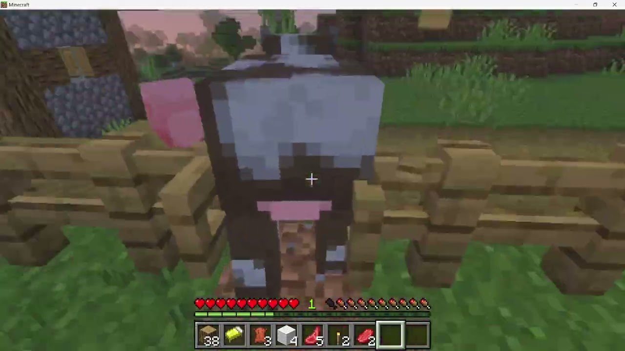 minecaraft