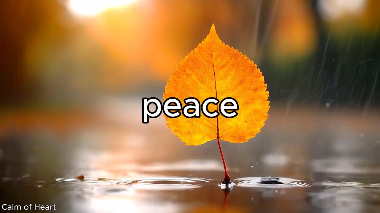 Beautiful Guitar Music deep relaxation & Calm  Mind