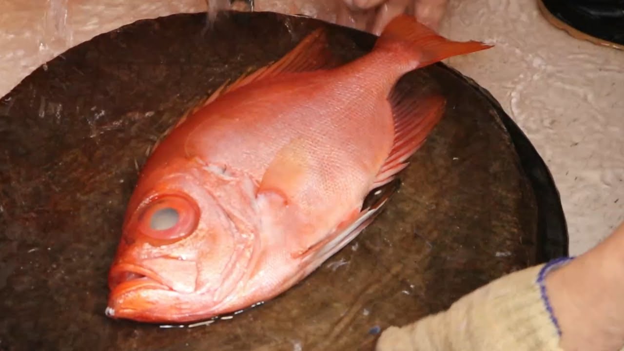船釣大目鰱生魚片切割 - 台灣碧砂漁港 / boat fishing cookeolus japonicus sashimi cutting - taiwan fishing port