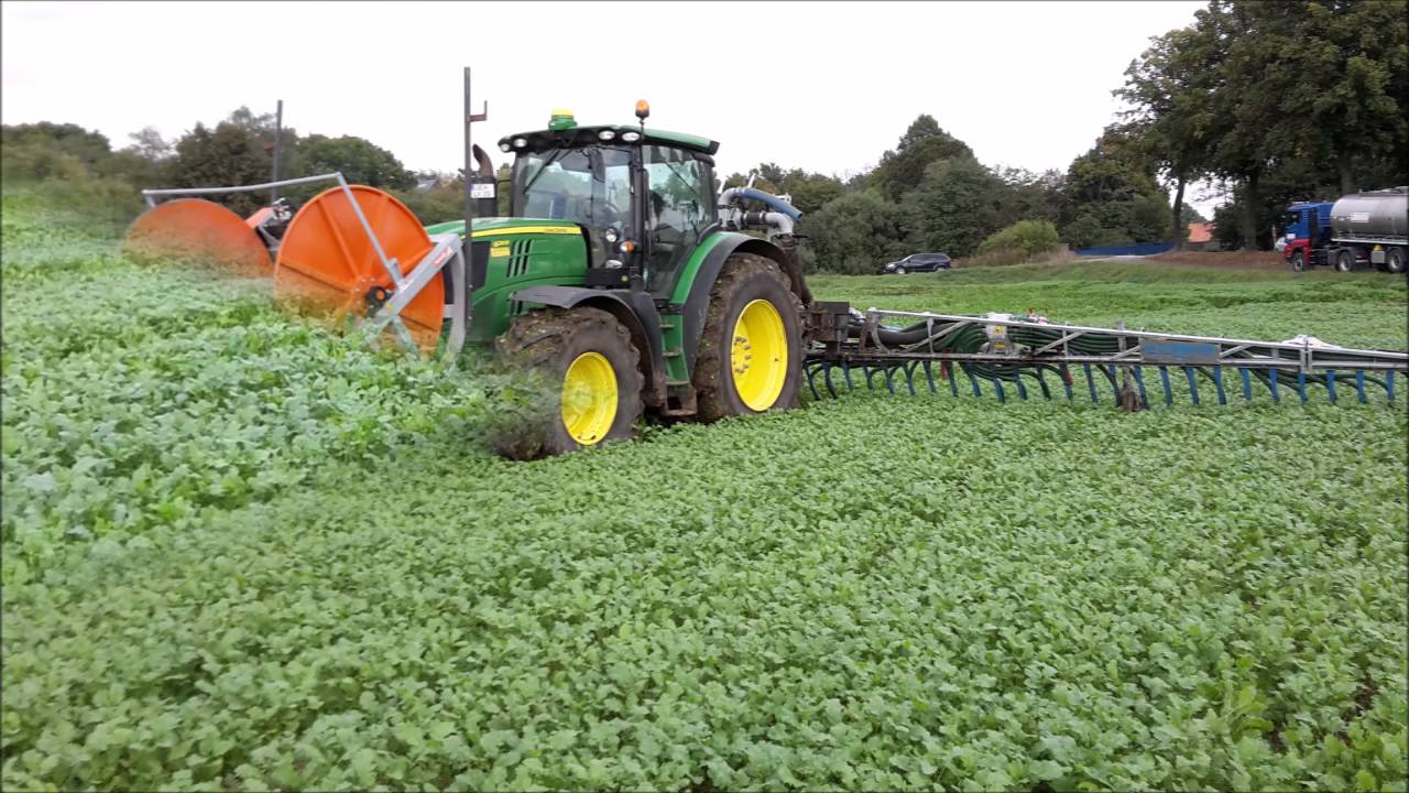 Verschlauchung in Zwischenfruchtbest&auml;nden