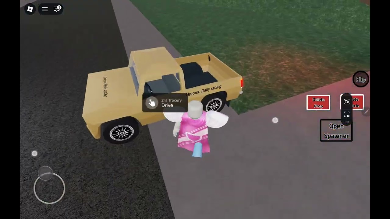 Doing a crash test (first video of sankranti)