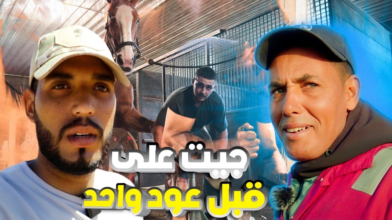 كل ما تودون اكتشافه حول أسرار  حداد الخيول المغربية