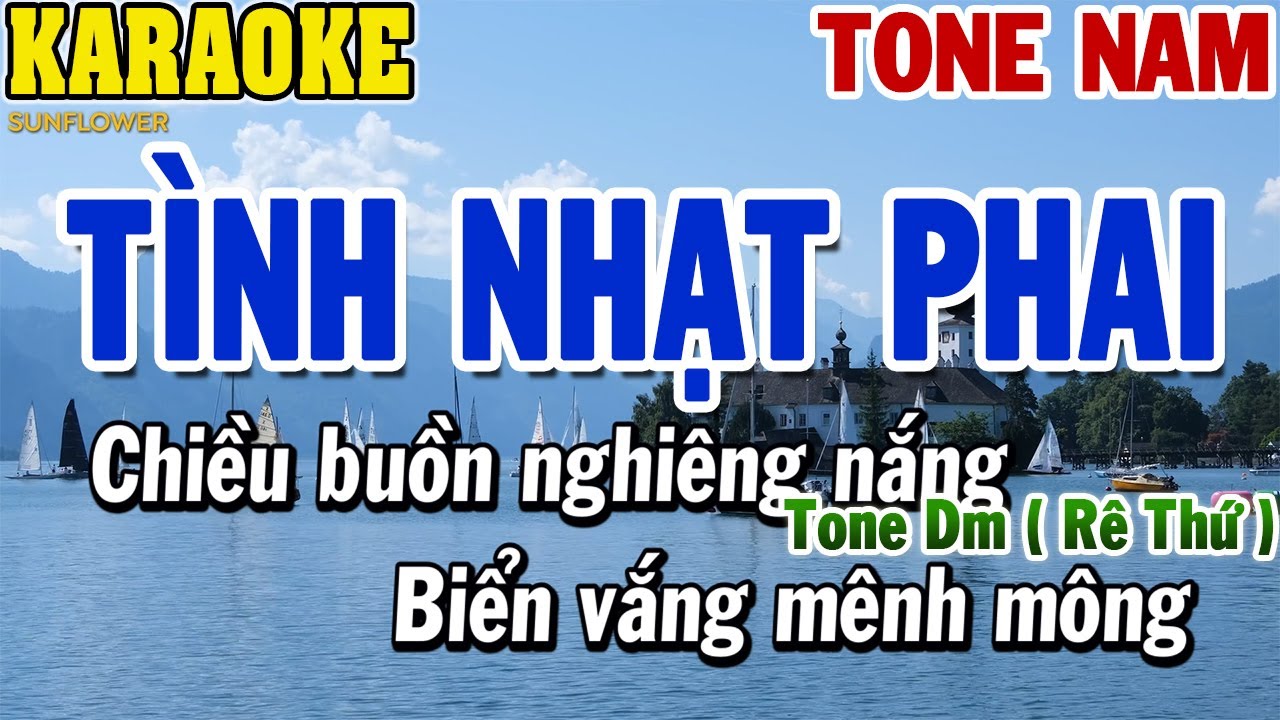 Karaoke Tình Nhạt Phai Tone Nam | Karaoke Beat | 84