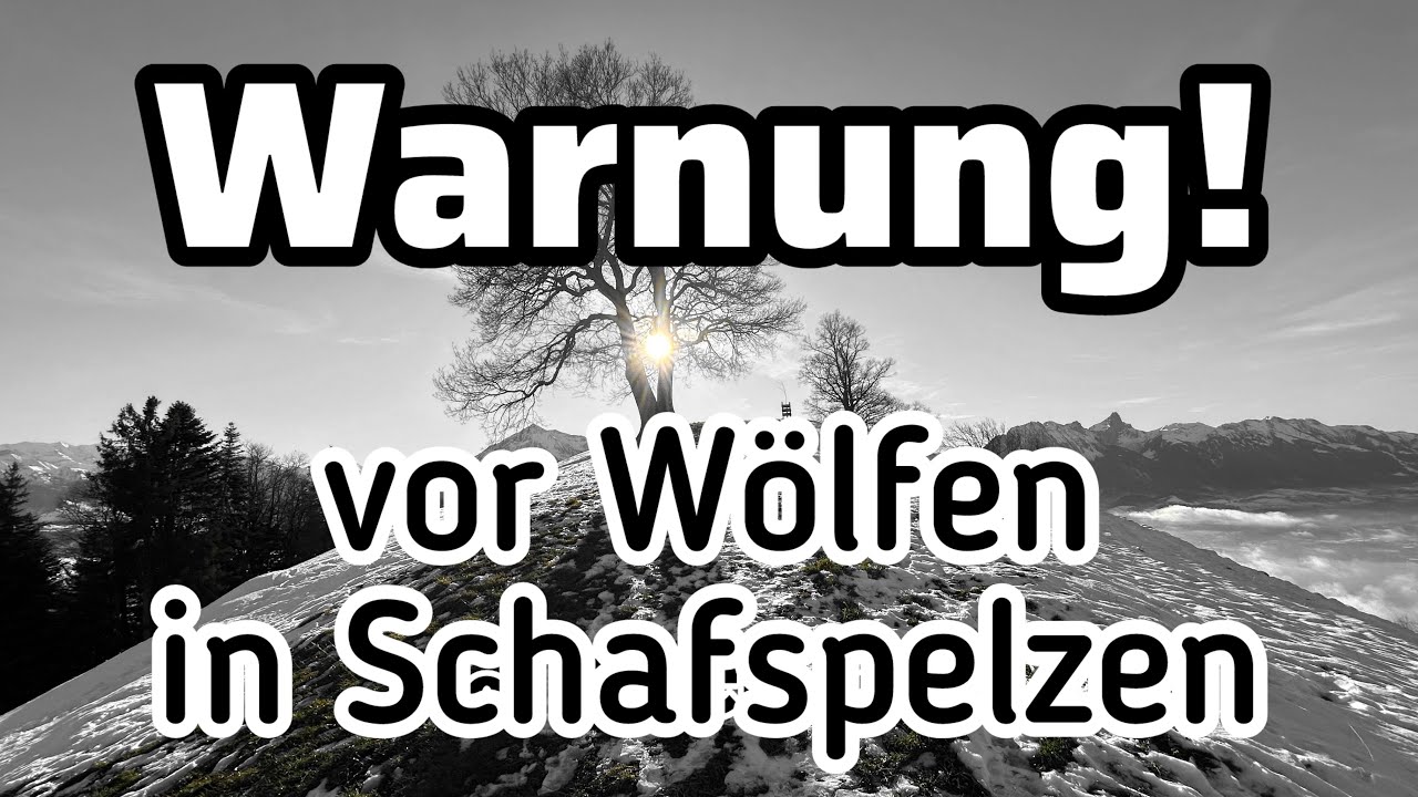 Dringende Warnung an Christen vor Wölfen im Schafspelz #lothargassman