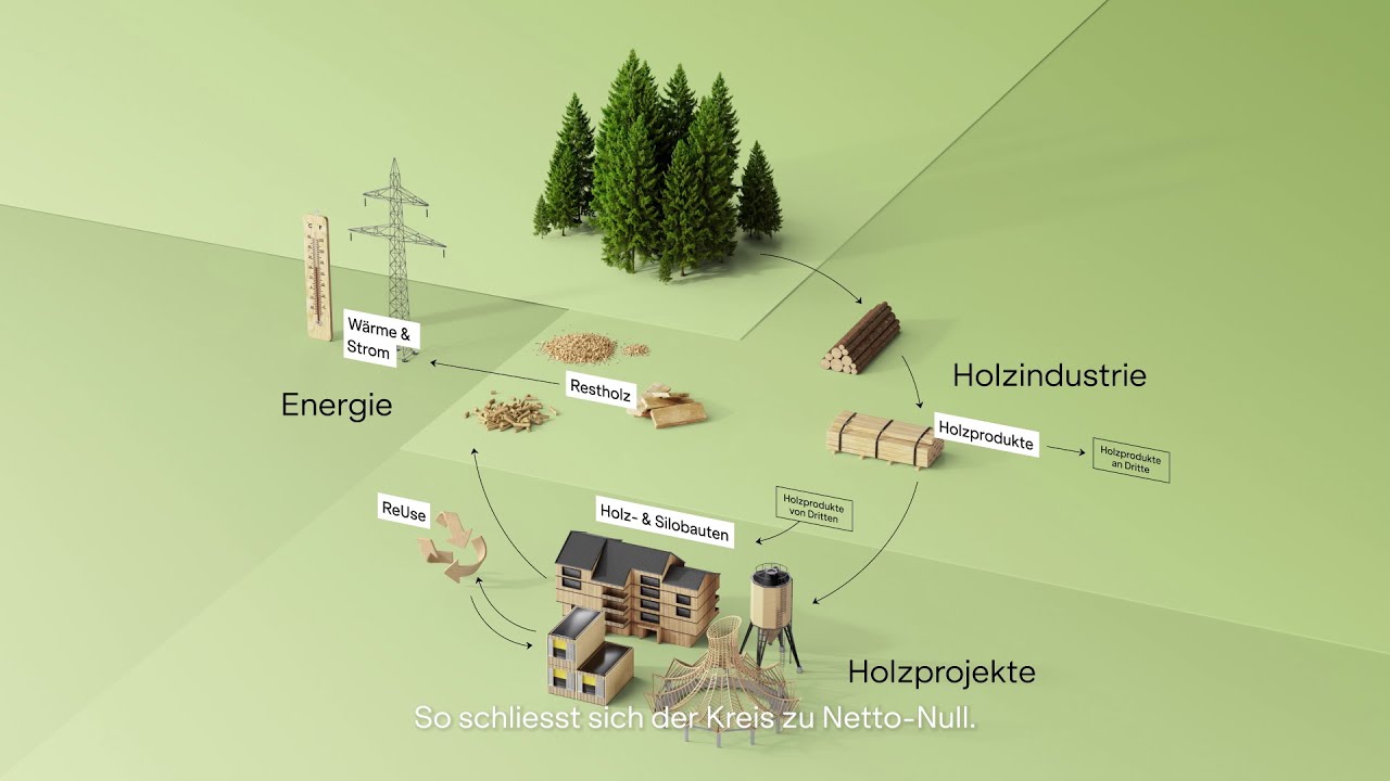 Nachhaltiger Holzkreislauf: Wie Schweizer Holz vollst&auml;ndig genutzt wird | Animation | in Deutsch