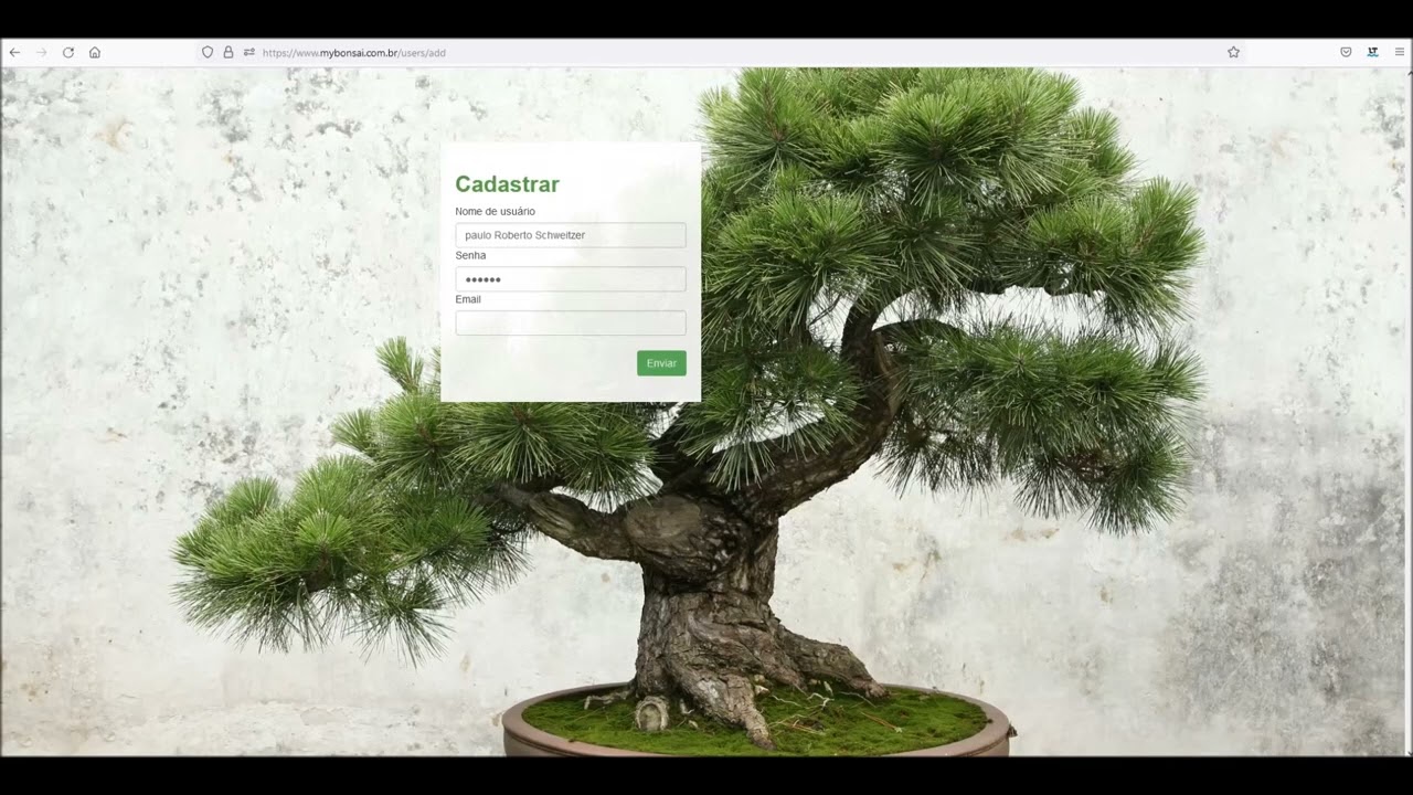 Saiba mais sobre o site da mybonsai