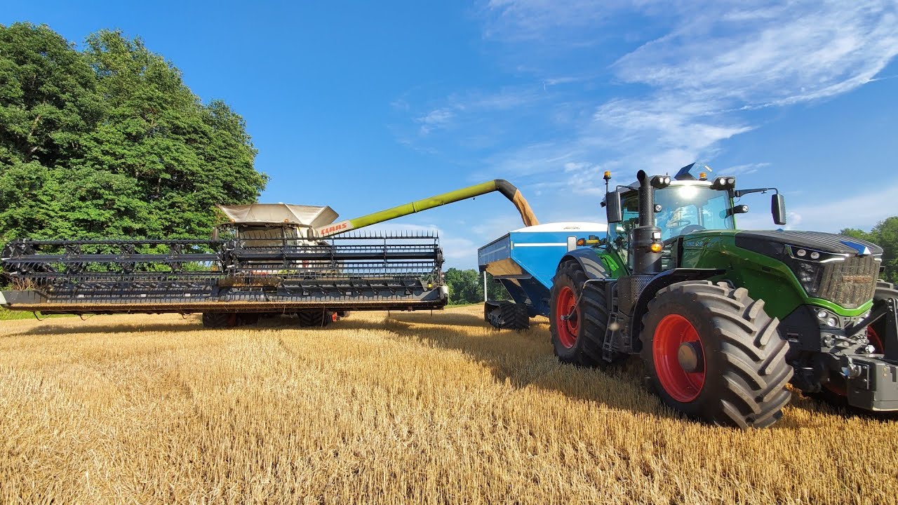 NEW CLAAS LEXION 8600 / Wheat Harvest Begins! / DRONE FOOTAGE