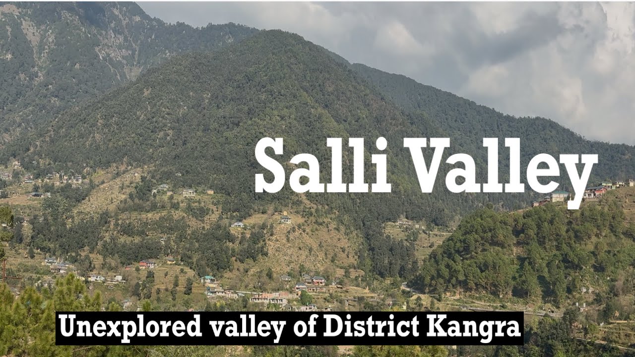 Salli Valley | In between the hills of Dhauladhar Range