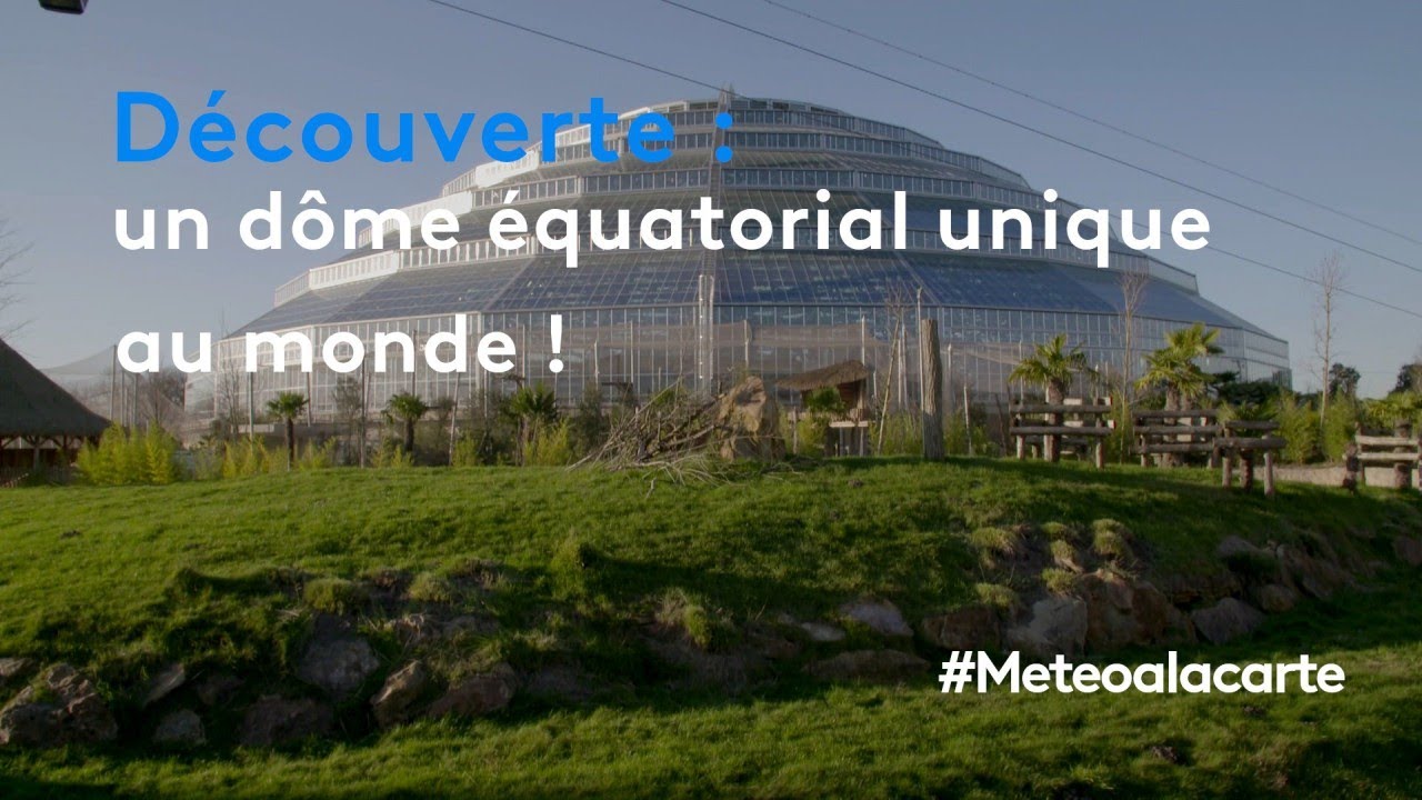 Découverte : un dôme équatorial unique au monde ! - météo à la carte
