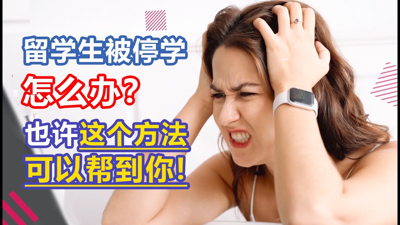 第806期【紧急】被学校停学怎么办？紧急转学注意事项解析！
