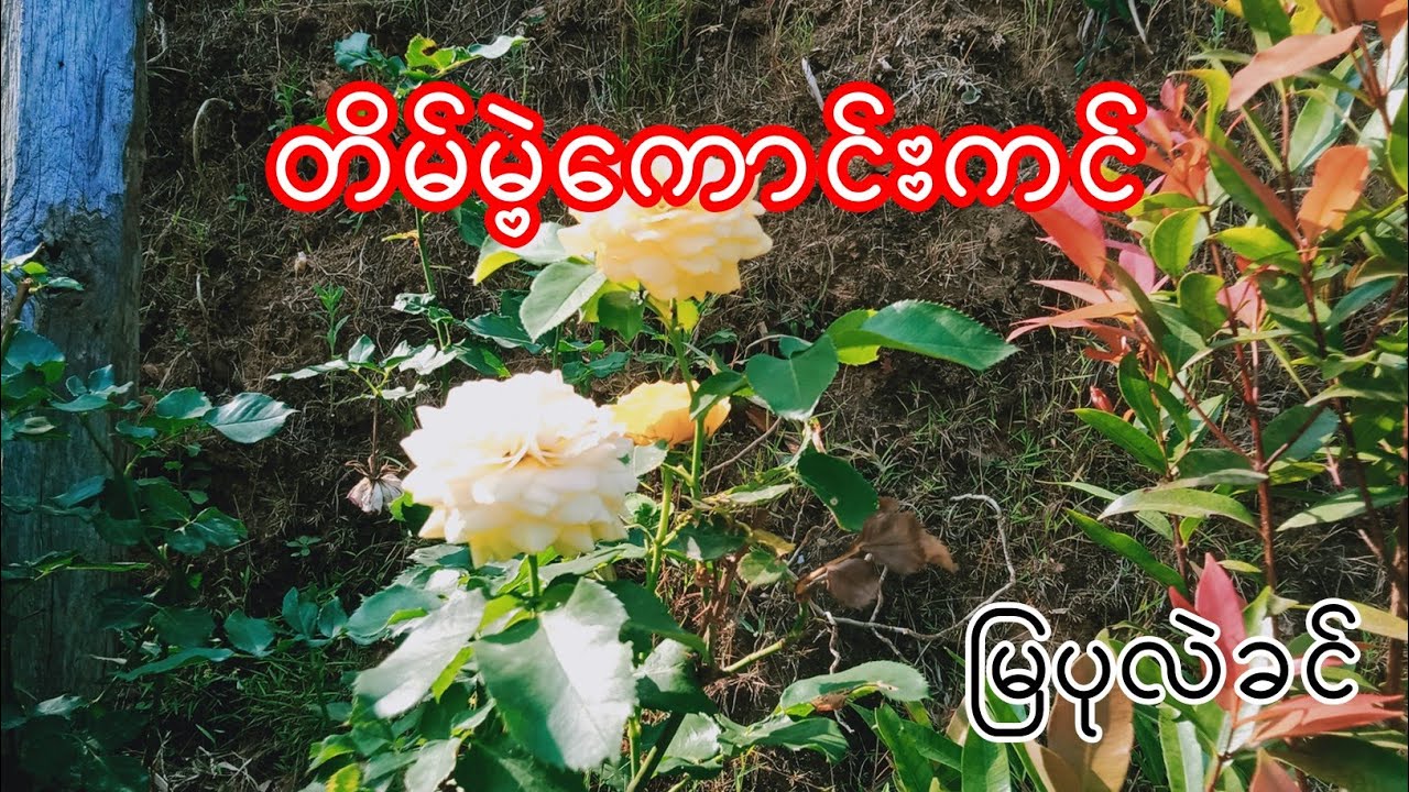 Burmese Audio Story part45 တိမ်မဲ့ကောင်းကင် မြပုလဲခင်