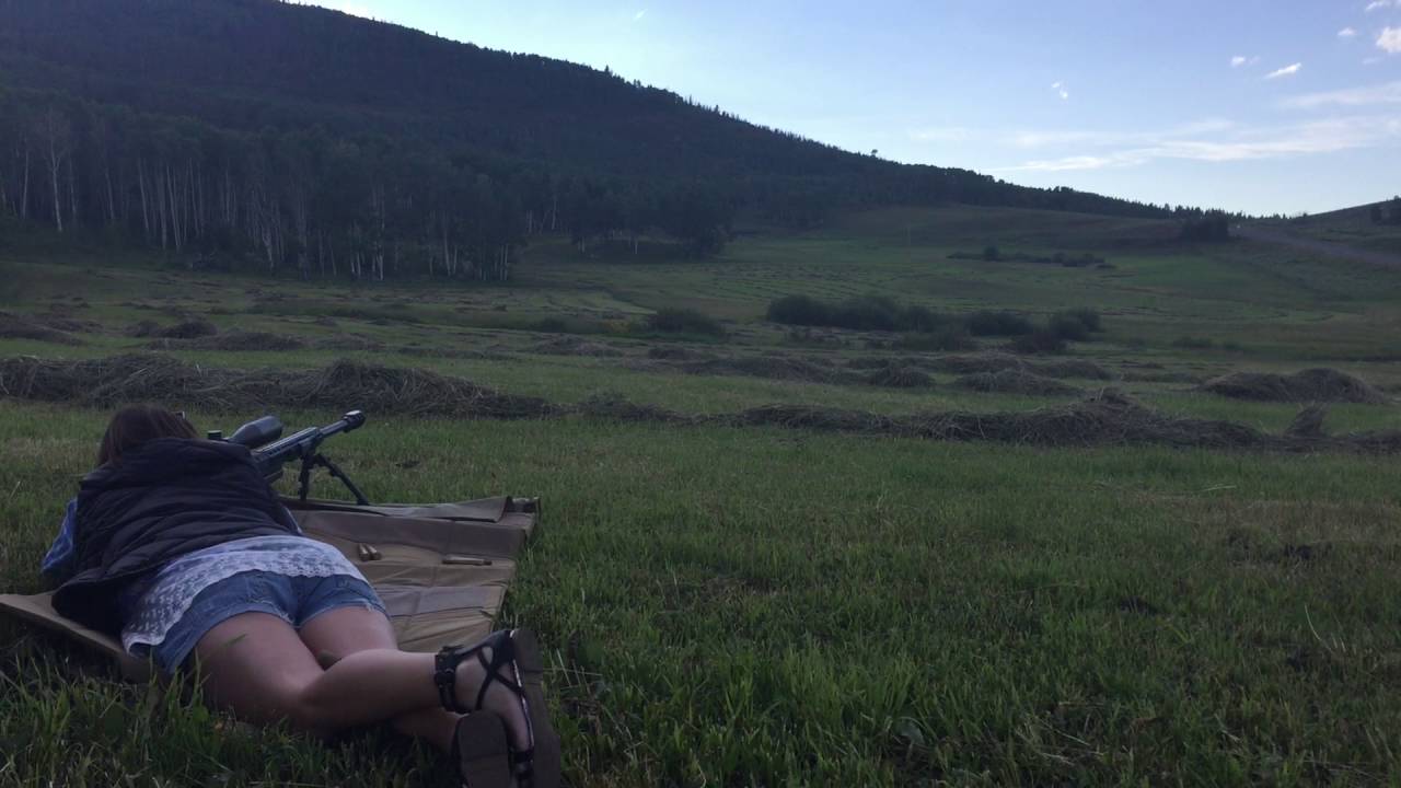 1,100 yard Steel Elk Target