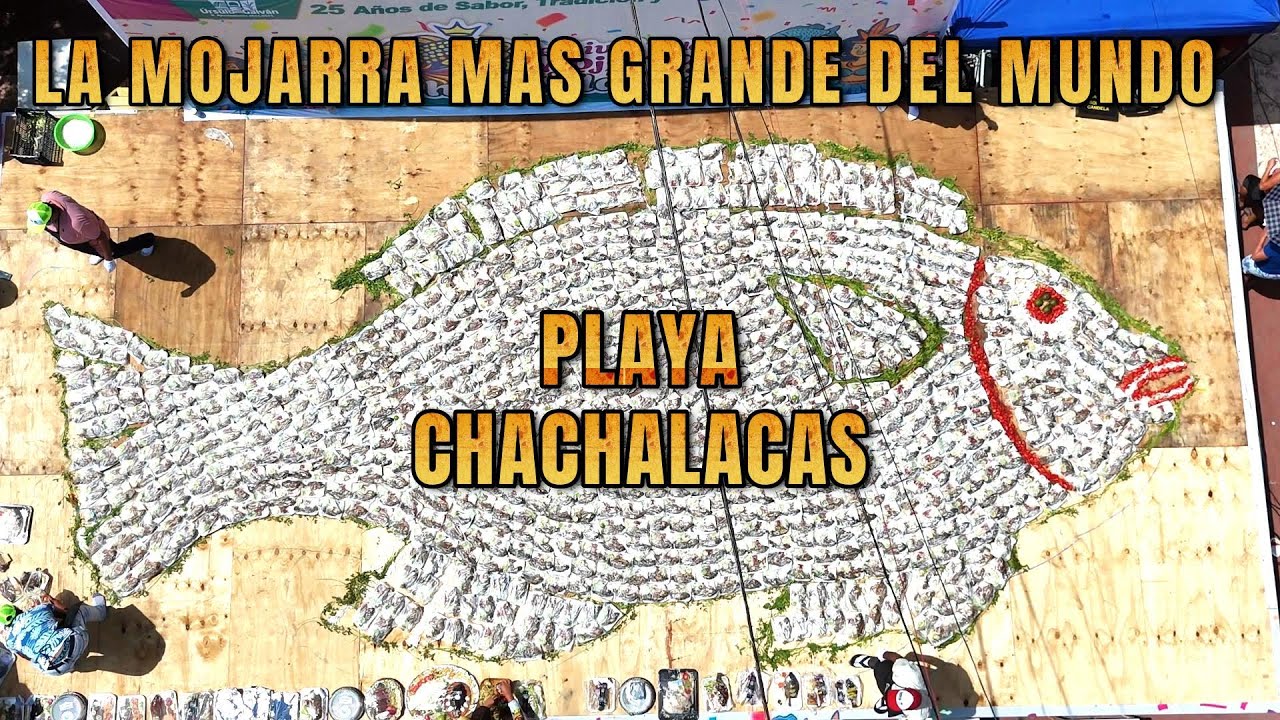 LA MOJARRA MAS GRANDE DEL MUNDO EN LA PLAYA DE CHACHALACAS VERACRUZ