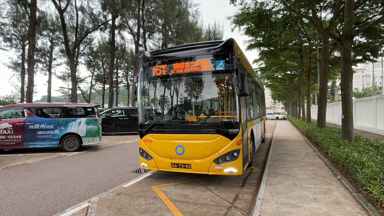 (假日載空專線)新福利 HE240/AA7393@15T 黑沙海灘至蝴蝶谷大馬路(循環線)