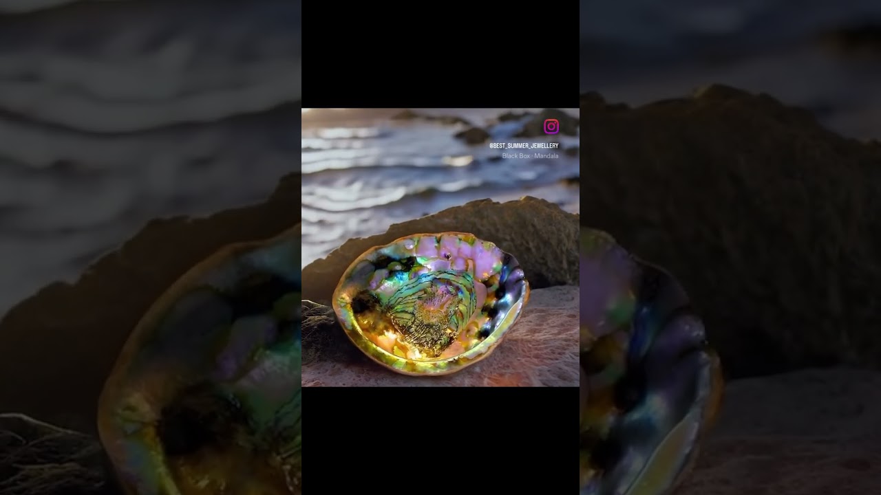 Abalone shell , jewelry brand www.bestsummer.be