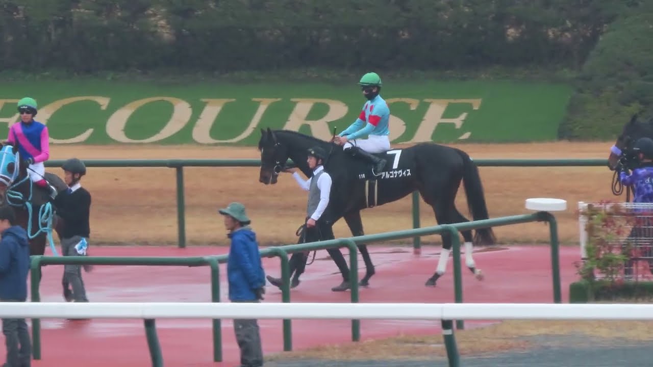 2025年12月20日 中京11R 尾頭橋ステークス 本馬場入場 アルゴナヴィス