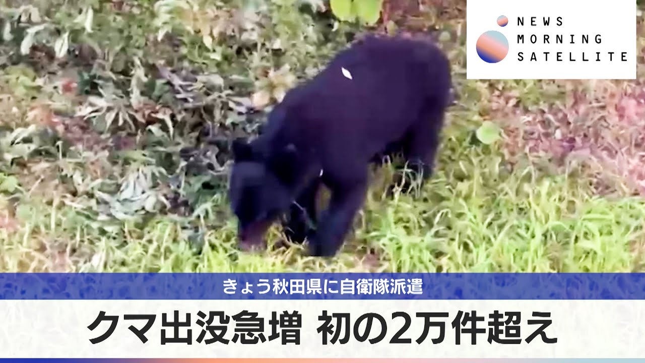 クマ出没急増 初の2万件超え　5日秋田県に自衛隊派遣【モーサテ】