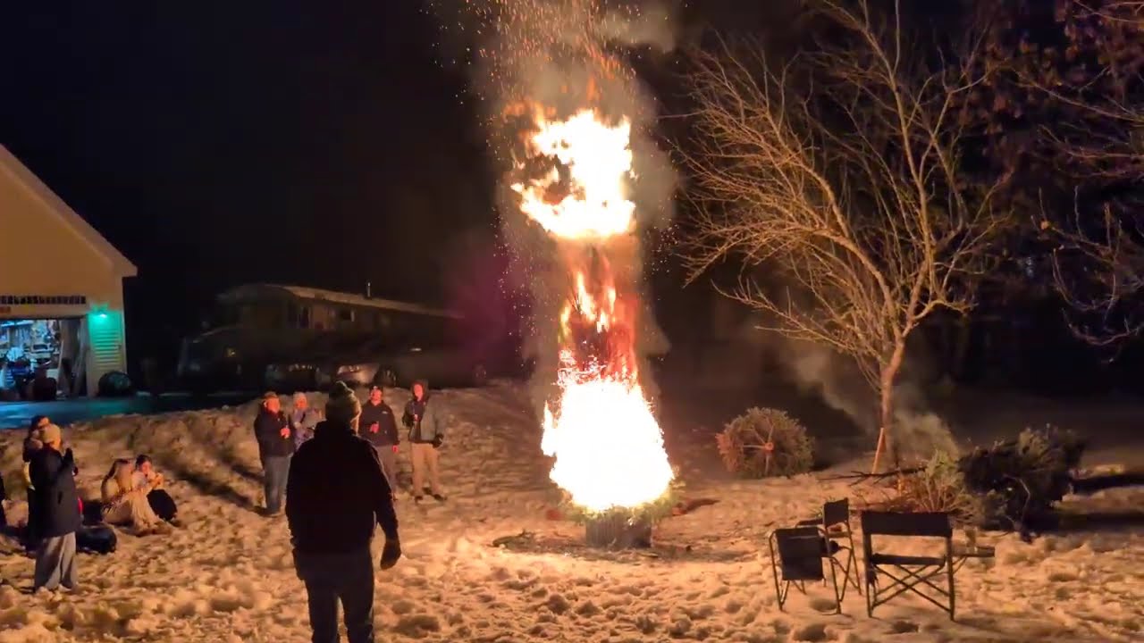 The Sahr Tree - Jan 10, 2026