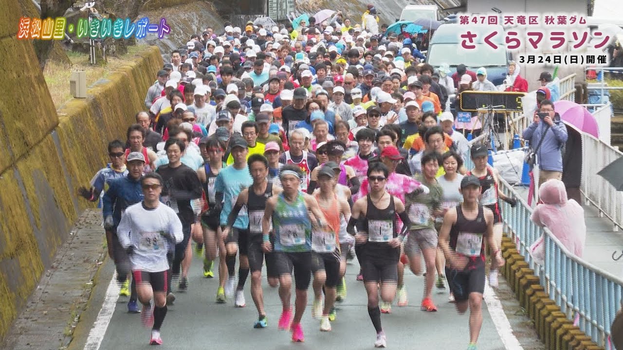 【浜松山里・いきいきレポート】秋葉ダムさくらマラソン