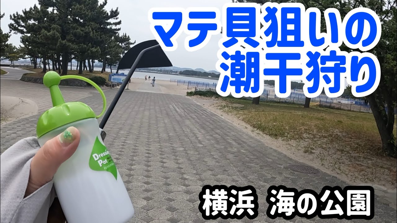 【横浜 海の公園】ゴールデンウィーク前にマテ貝狙いの潮干狩り&金沢水際線緑地で釣り