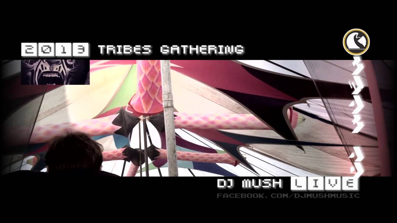 Dj Mush playing 'Acid in Wonderland' (Live at Tribes Gathering)