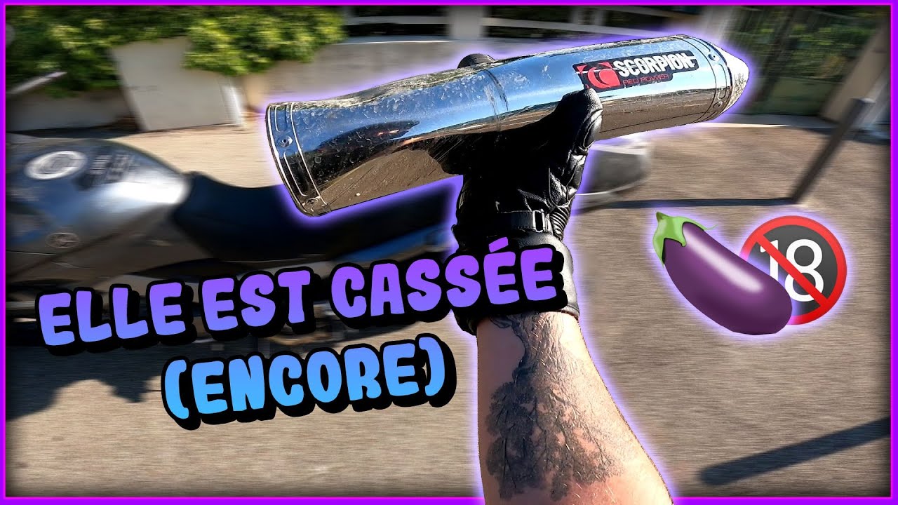 JE CASSE MON POT SCORPION IL FAIT DES FLAMMES ÉNORMES (oui encore) 😱🔥Daily Observation #11