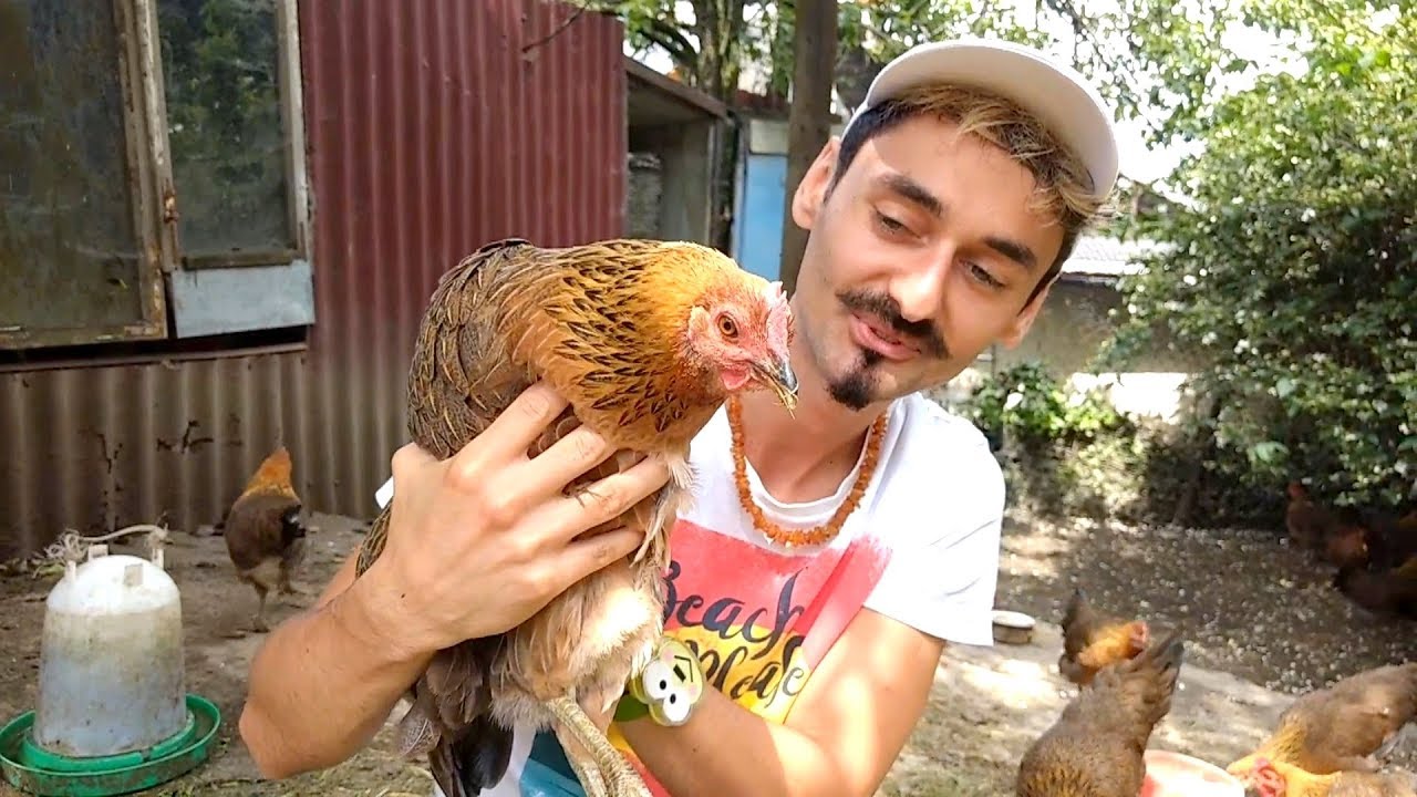 FARMA DROBIU Wojciecha Kurczaka