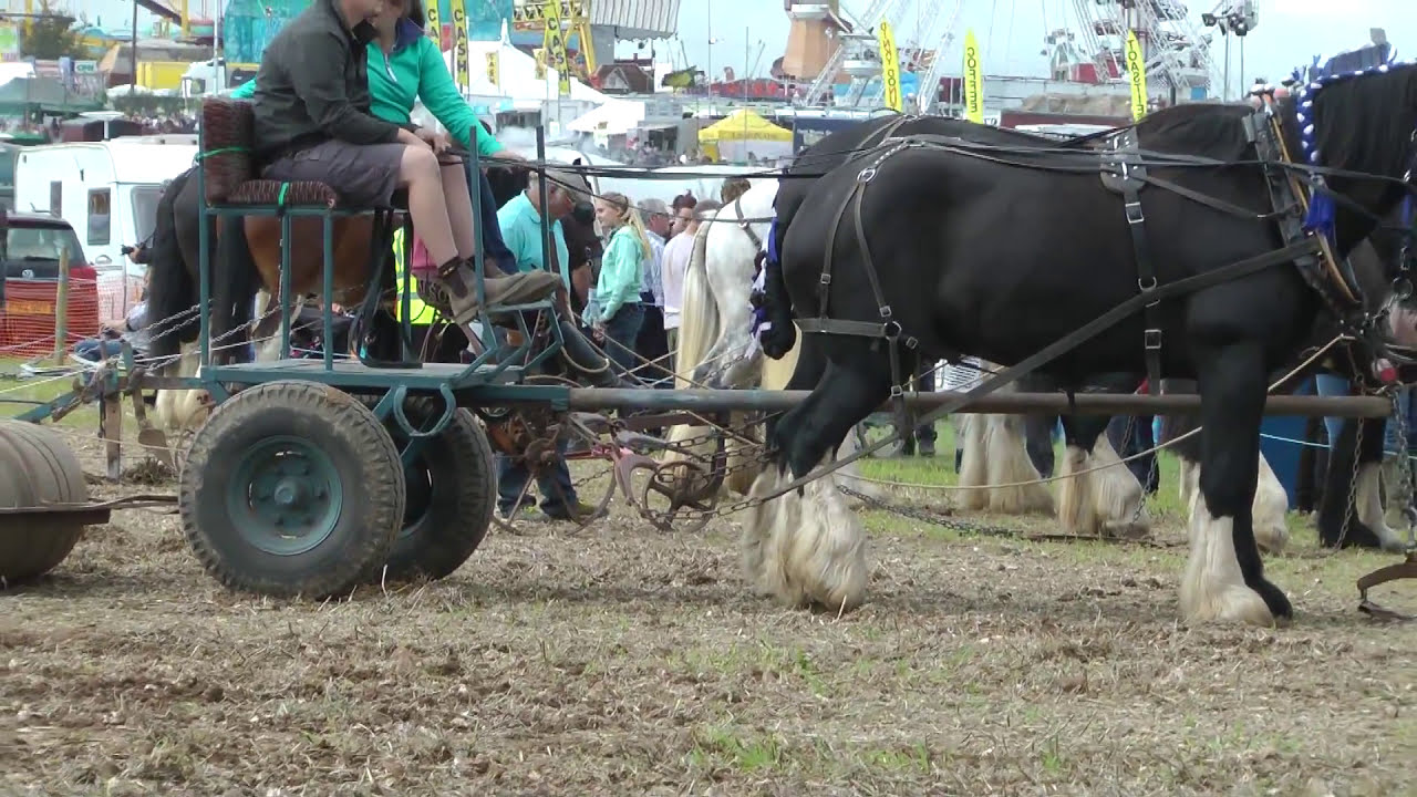 GDSF 2015  01 of  08 mpeg4