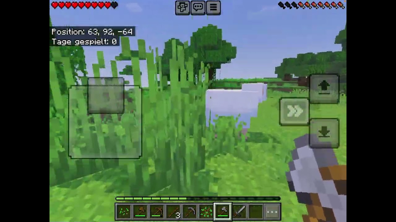 Ich muss in 15 Minuten einen Eisenbarren im Inventar haben- sonst Name-Leak