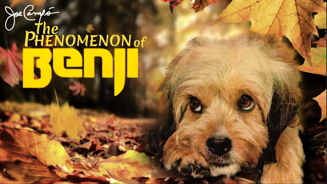 The Phenomenon of Benji (1978)