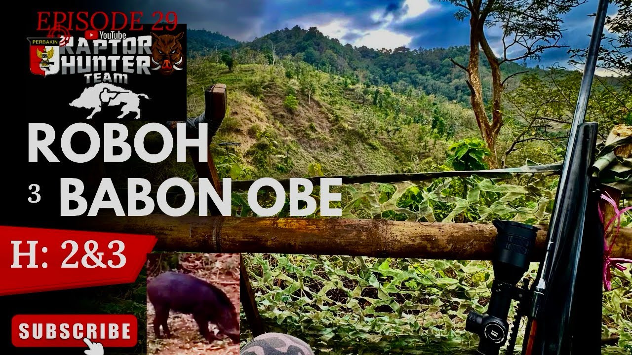 BERBURU BABI HUTAN LIAR DIMEDAN TANJAKAN HUJAN KABUT|EPS 29 OPERASI TEBING 7 |BEST WILD BOAR HUNTER 