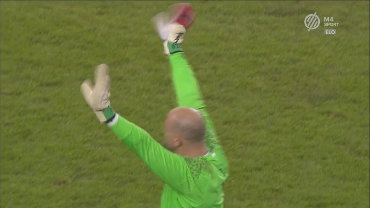 Gábor Király Hungarys Last Match vs. Sweden (Home) | 15.11.2016 | |ᴴᴰ