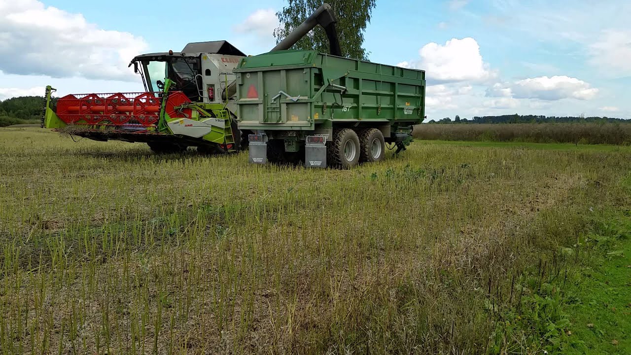 CLAAS TUCANO 320 & vasaras rapsis