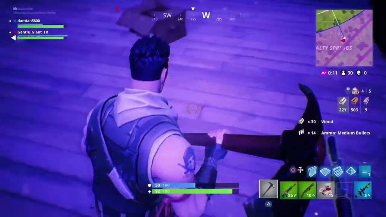 Fortnite 20171214211733