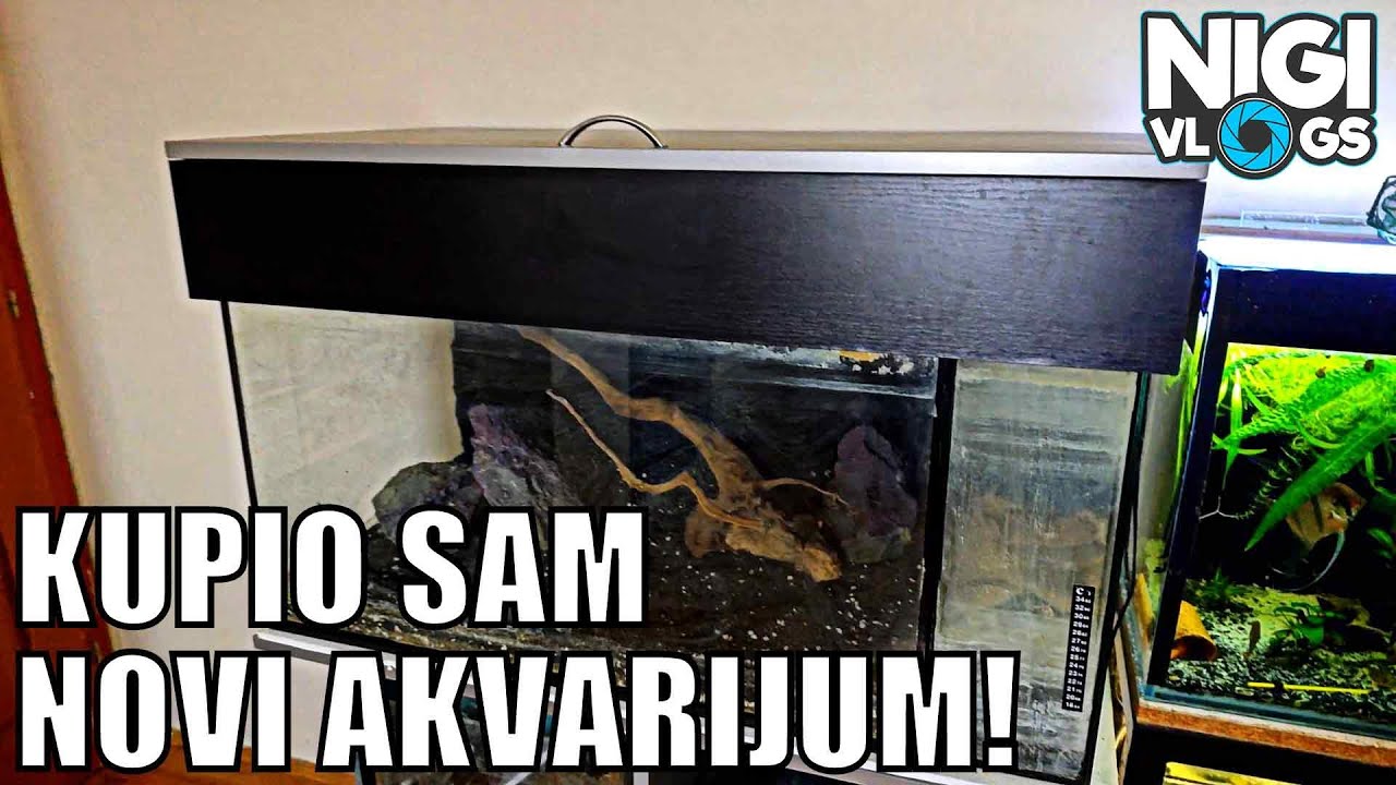 Kupio Sam Novi Akvarijum Sa Postoljem! Šta Da Držim Od Riba?! #akvaristika #nigivlogs