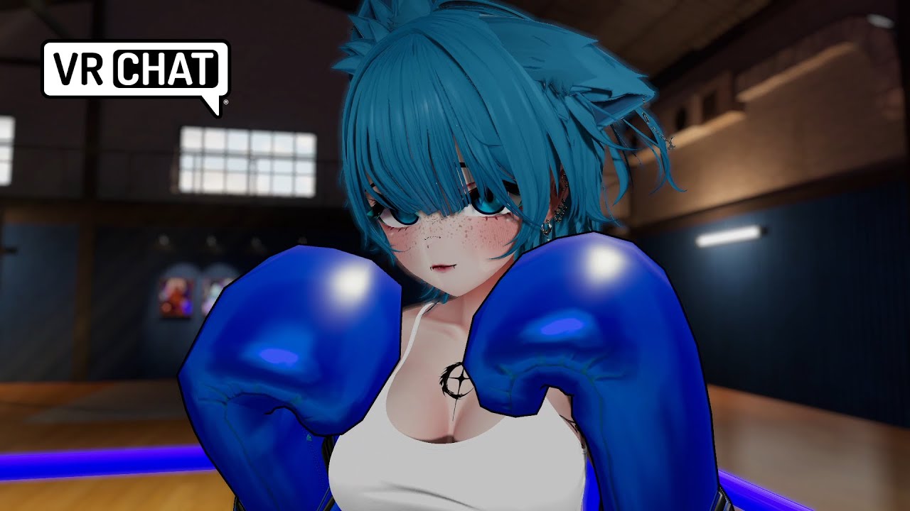 Beating of enormous chaos VRchat POV BOXING